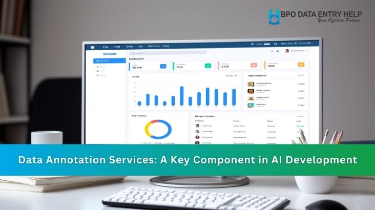 Data Annotation Services: A Key Component in AI Development